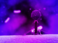 /album/digitalis-vaszonkepek/abstract-t4-bacteriophage-desktop-1600x1200-hd-wallpaper-1084206-png/