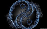 /album/digitalis-vaszonkepek/made-it-on-photoshop-desktop-2560x1600-hd-wallpaper-1183004-jpg/