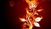/album/digitalis-vaszonkepek/red-abstract-flower-vectors-upload-cache-jpg/