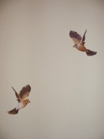 /album/faldekoraciok/dscf0634-jpg/